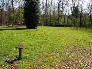 Oak Camp Site - 1