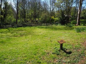 Fir Camp Site