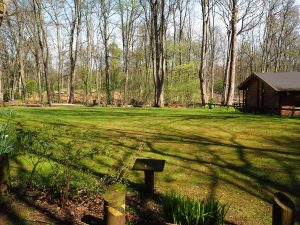 Elm Campsite - 3